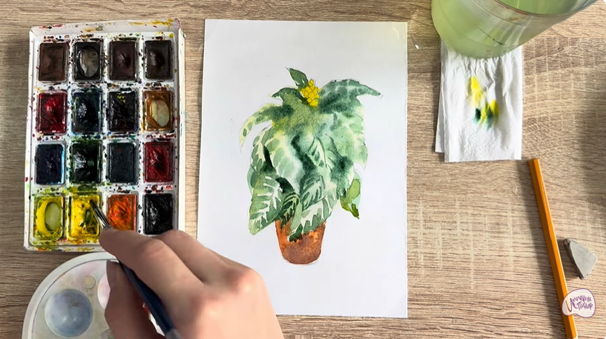 Рисуем Афеландра в горшке
