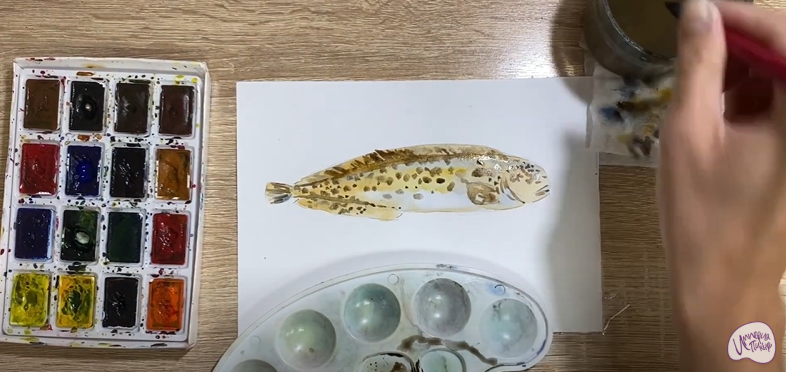 Рисуем Зубатка пёстрая