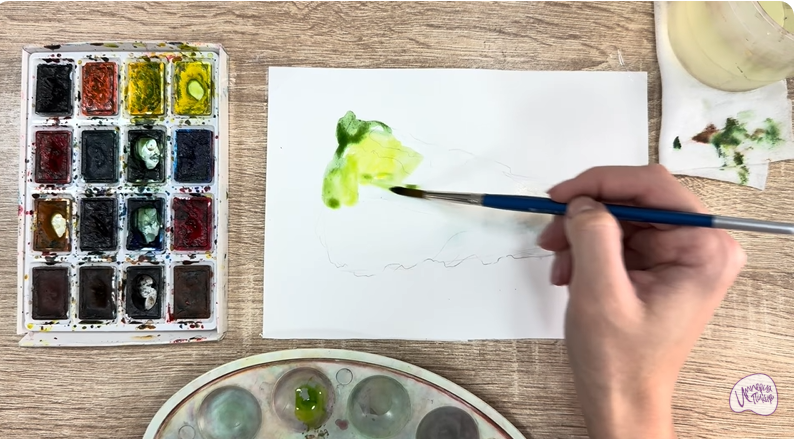 Рисуем Пекинская капуста