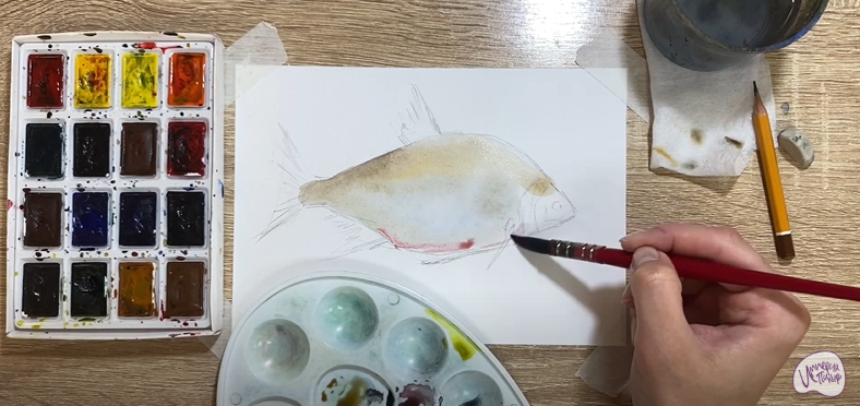 Рисуем Лещ