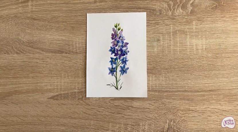 Рисуем Живокость