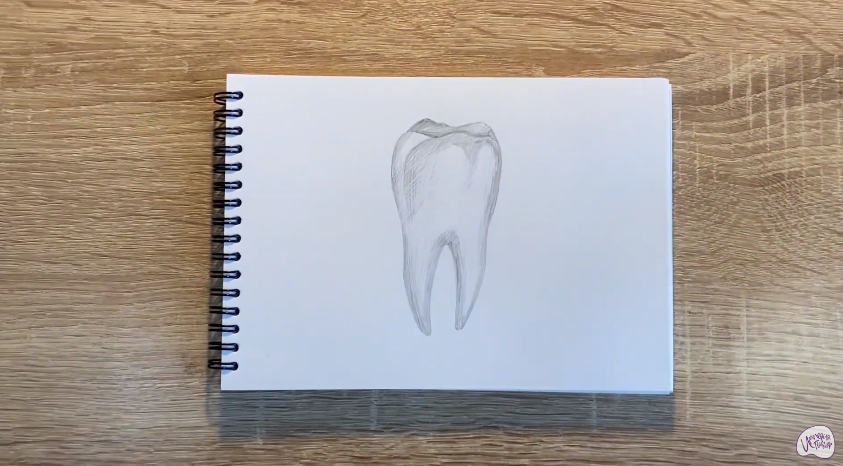 Рисуем Зуб