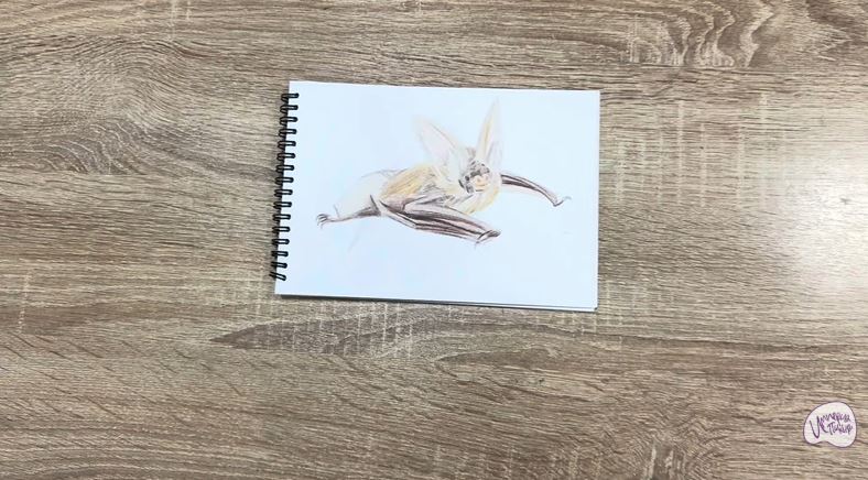 Рисуем Бурый ушан