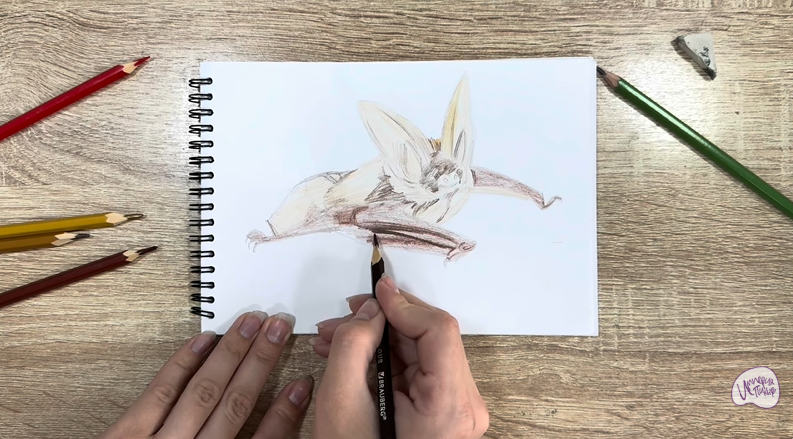 Рисуем Бурый ушан