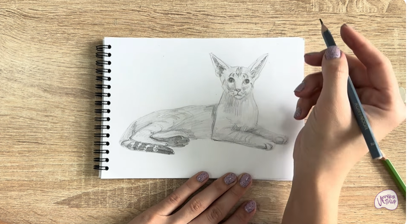 Рисуем Ориентальная кошка