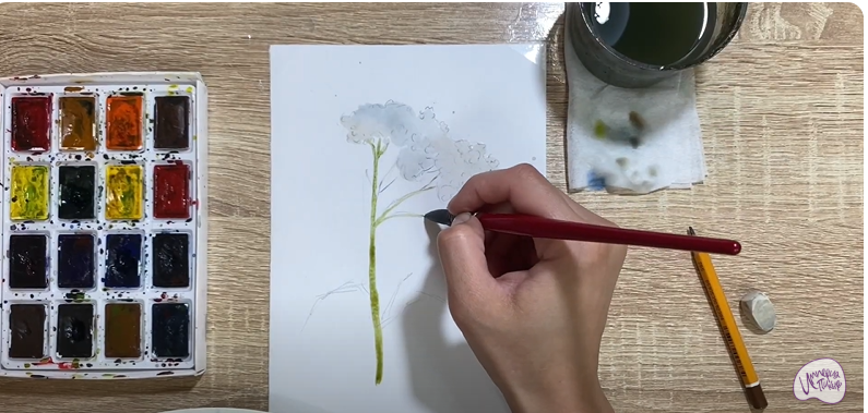 Рисуем Тысячелистник