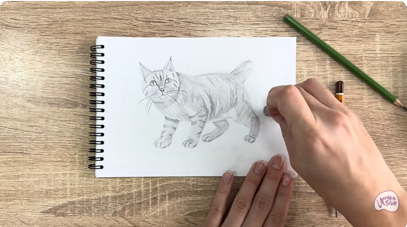 Рисуем Пиксибоб