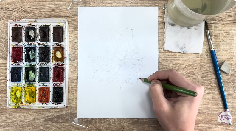 Рисуем Платицериум в горшке