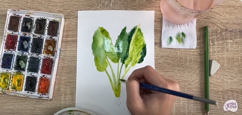Рисуем Алоказия