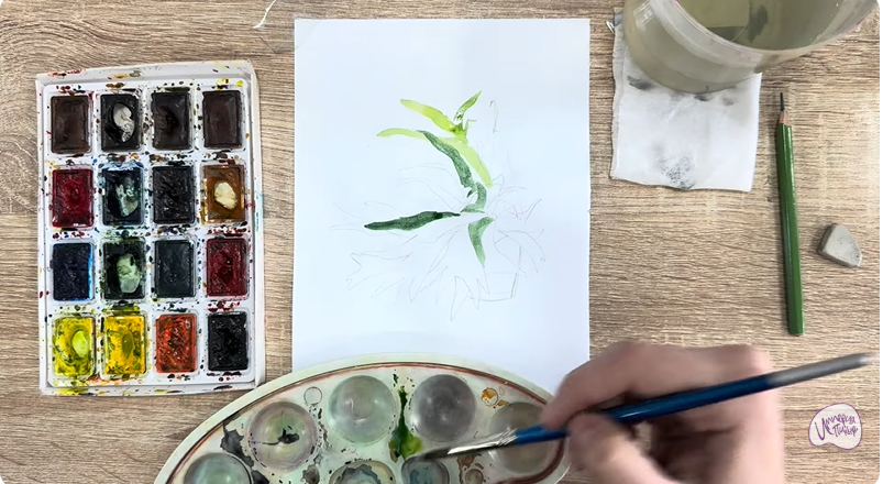 Рисуем Платицериум в горшке