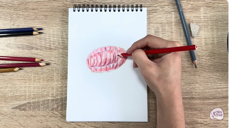 Рисуем Кошениль