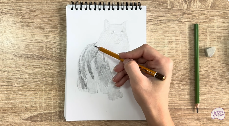 Рисуем Норвежский лесной кот