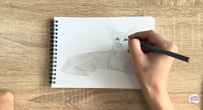 Рисуем Ориентальная кошка