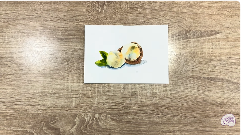 Рисуем Макадамия