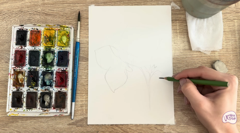 Рисуем Бугенвиллея