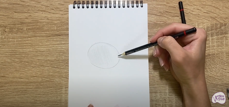 Рисуем Скорлупа