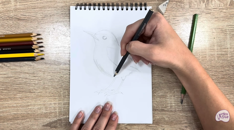 Рисуем Крапивник