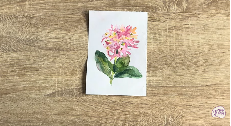 Рисуем Даис