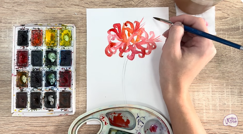 Рисуем Ликорис