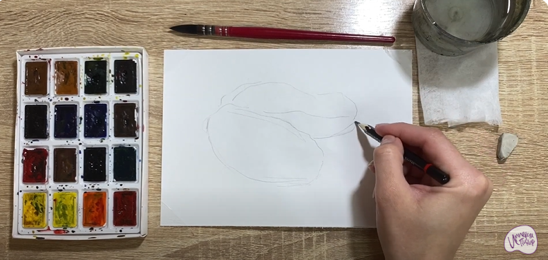 Рисуем Устрица