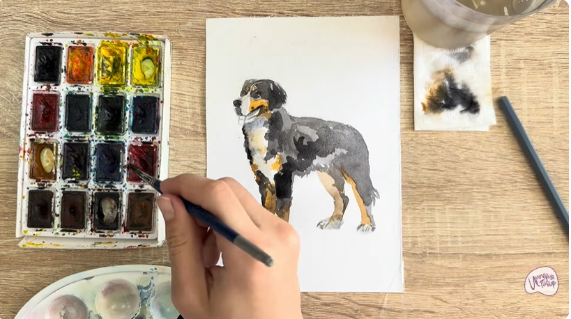 Рисуем Собака породы Бернский зенненхунд