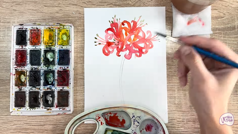 Рисуем Ликорис