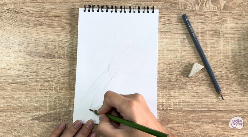 Рисуем Кухонные ножницы