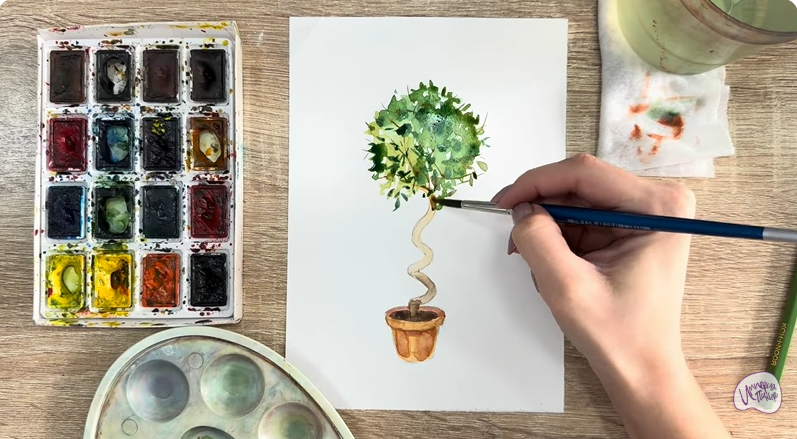 Рисуем Мирт обыкновенный