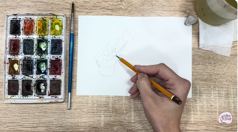 Рисуем Пеллиония в горшке