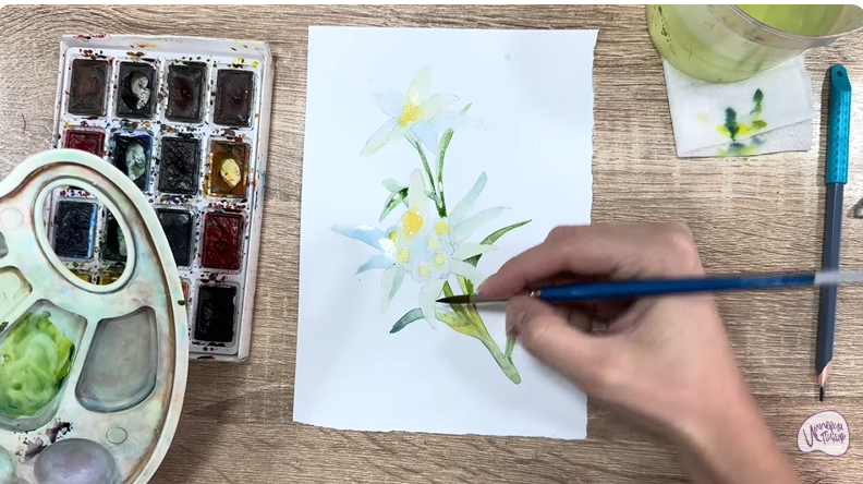 Рисуем Эдельвейс