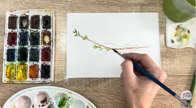 Рисуем Тимьян