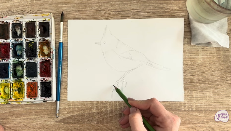 Рисуем Хохлатая синица