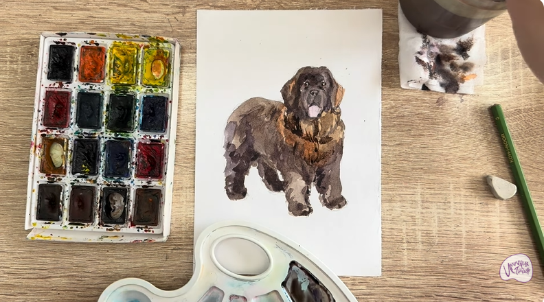 Рисуем Собака породы Ньюфаундленд