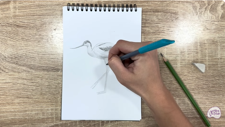 Рисуем Шилоклювка