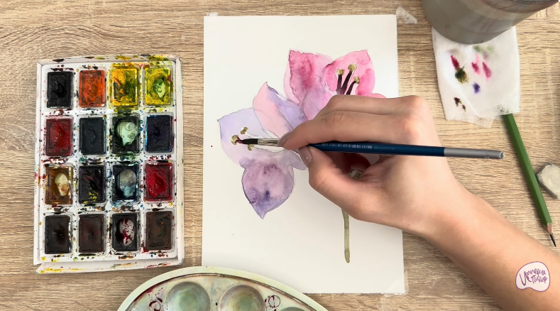 Рисуем Бугенвиллея