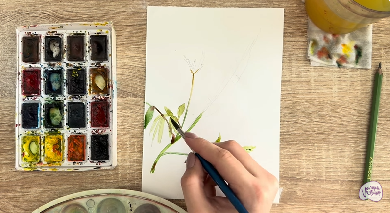 Рисуем Аморфа