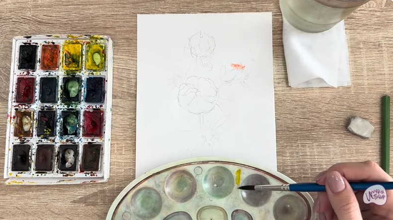 Рисуем Лапчатка