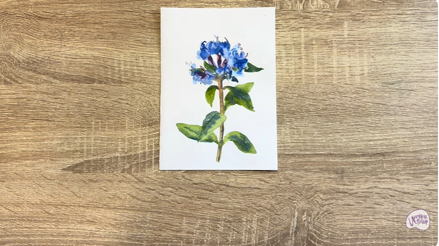 Рисуем Зизифора