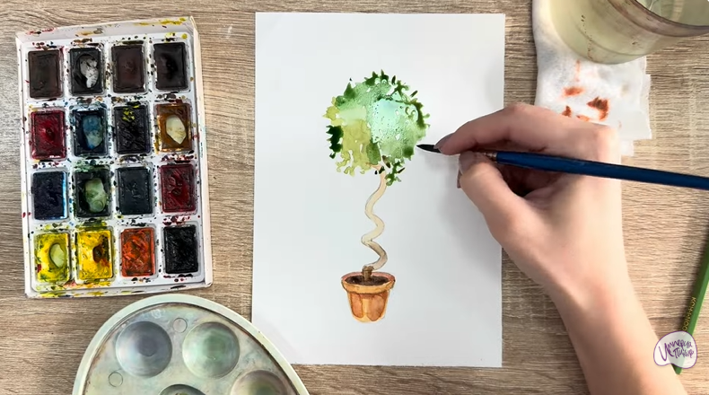 Рисуем Мирт обыкновенный