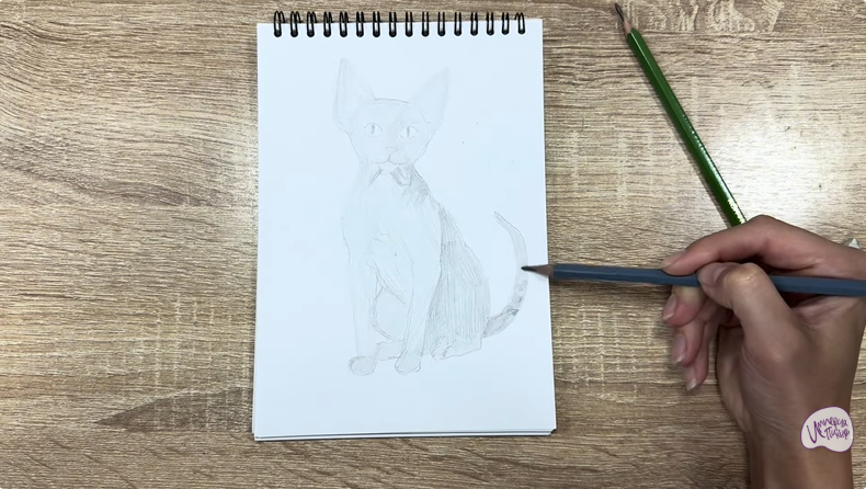 Рисуем Девон Рекс