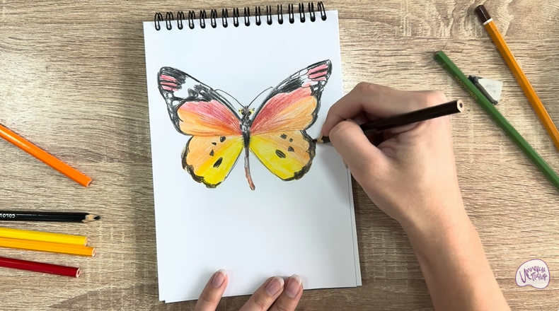 Рисуем Малинница обыкновенная