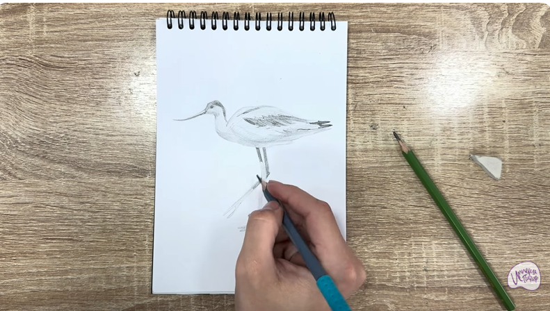 Рисуем Шилоклювка