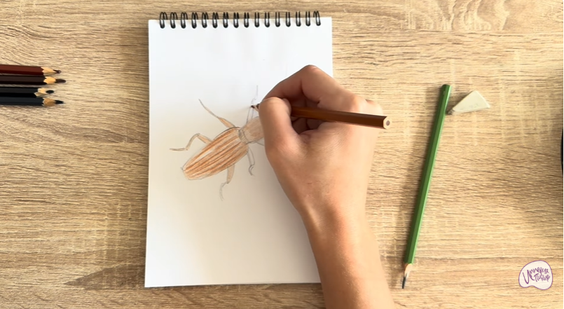 Рисуем Мукоед