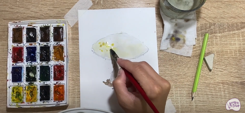 Рисуем Флоккулярия