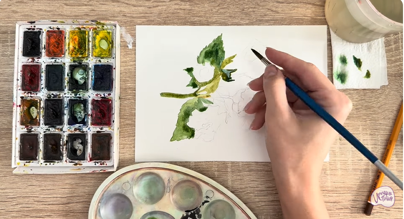 Рисуем Алтей лекарственный