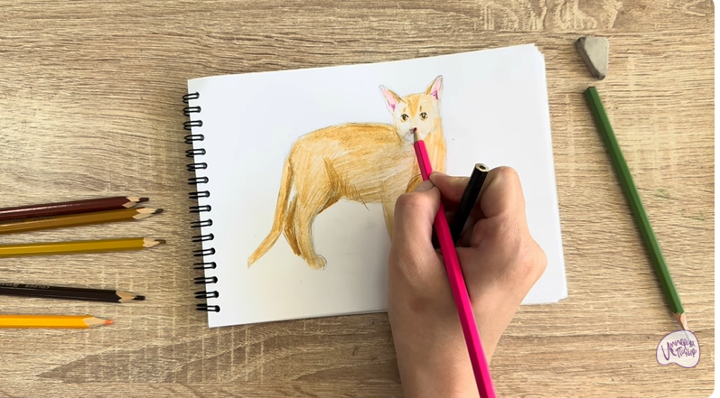 Рисуем Кот породы Оцикет