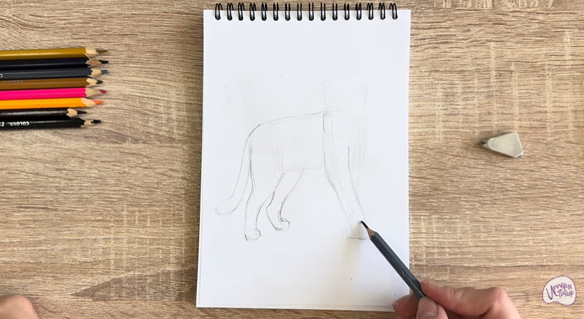Рисуем Кошка Бурмилла