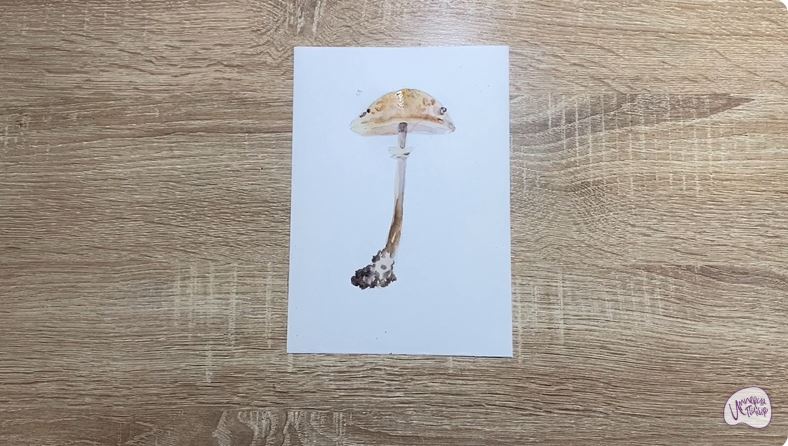 Рисуем Лепиота