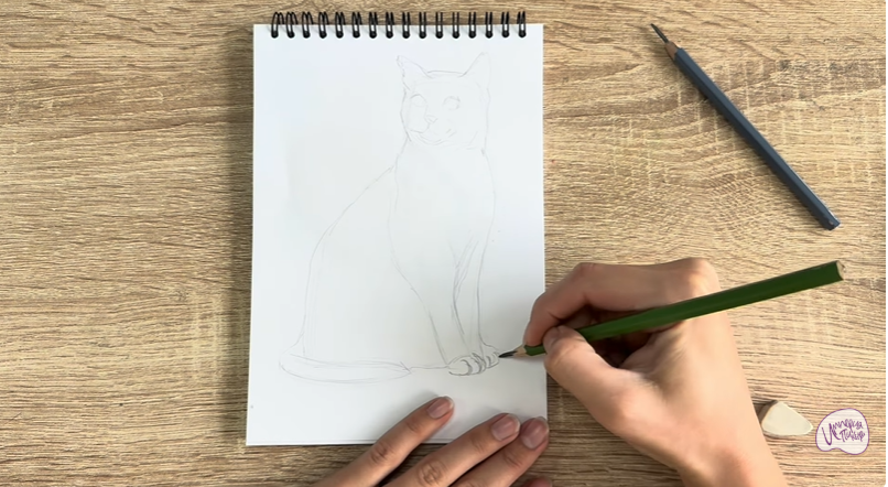 Рисуем Бурманский кот