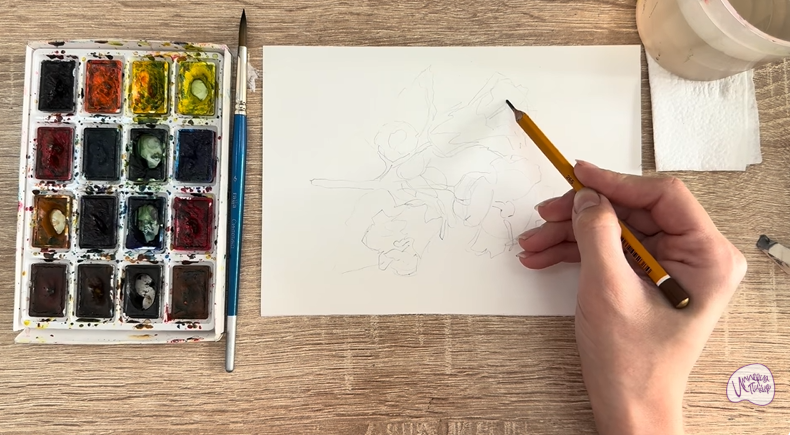 Рисуем Алтей лекарственный